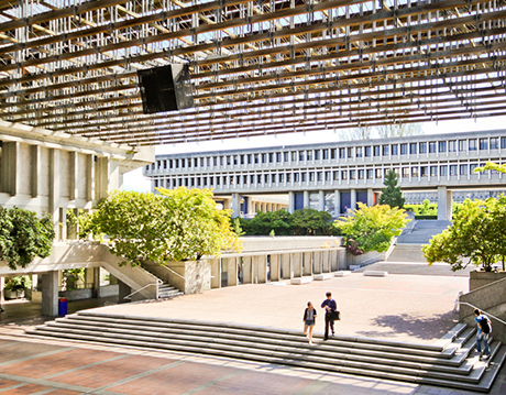 University