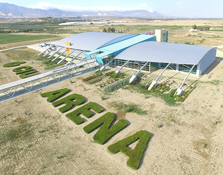 Cyprus International University (CIU)
