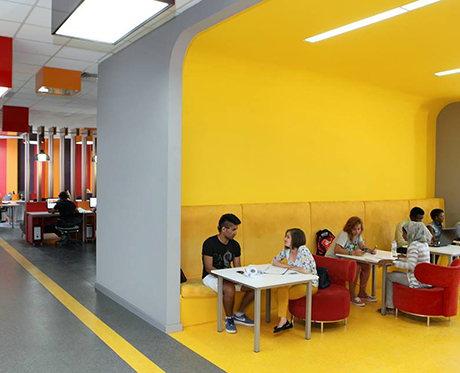 Cyprus International University (CIU)