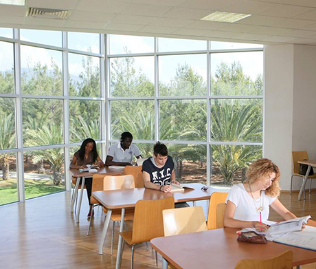 Cyprus International University (CIU)