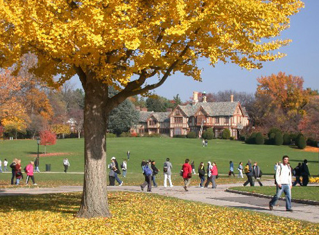 University