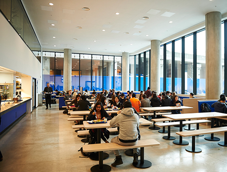 DLD College | 5-17*