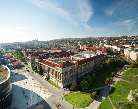 University