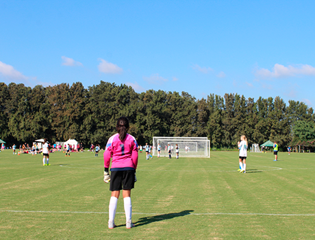 Sotogrande International School | 8-17*