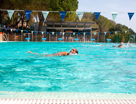 Sotogrande International School | 8-17*