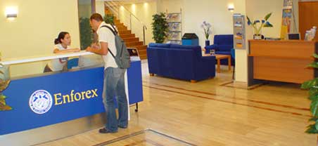 Enforex