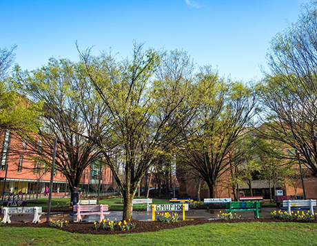 George Mason University