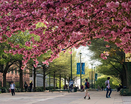 George Mason University
