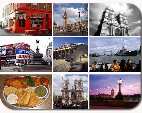 Language Courses