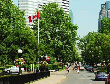 Sprachcaffe Montreal | 14-21*