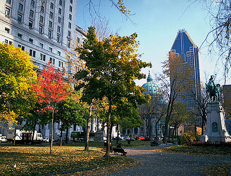Sprachcaffe Montreal | 14-21*