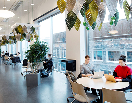 Malmö University