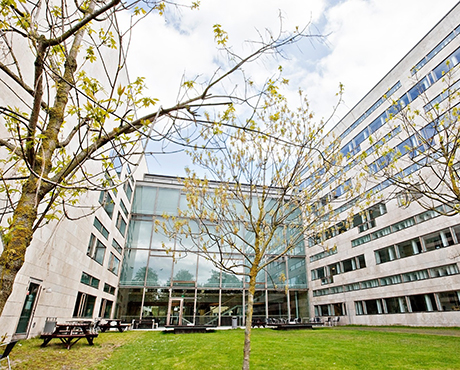 Malmö University