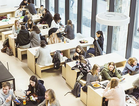 KdG University of Applied Sciences and Arts