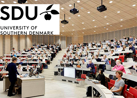 Locuri vacante pentru masteranzi la University of Southern Denmark